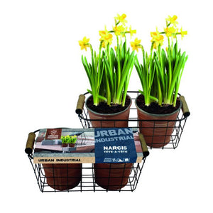 Urban Industrial basket flower bulbs (2 pcs) - BA327206