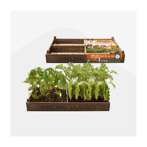 Urban Crate City Garden - BP227900