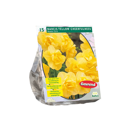 Narcis Yellow Cheerfulness per 15 - BA301171