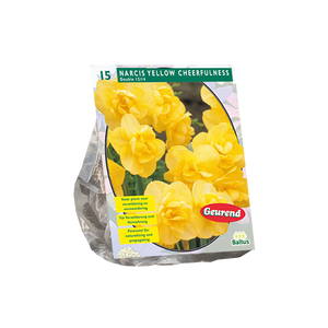 Narcis Yellow Cheerfulness per 15 - BA301171
