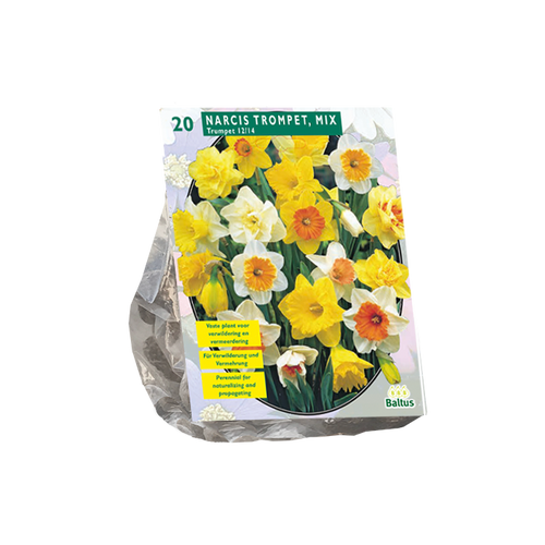 Narcis Trompet, Mix per 20 - BA301341