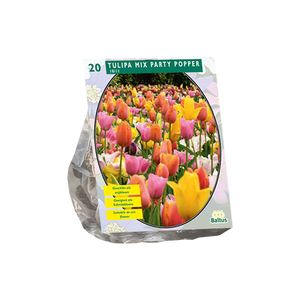 Tulipa Mix Party Popper per 20 - BA301835