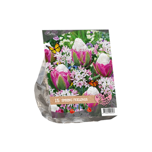 Urban Flowers - Spring Feelings per 15 - BA306310