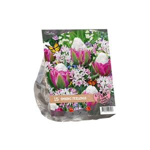 Urban Flowers - Spring Feelings per 15 - BA306310