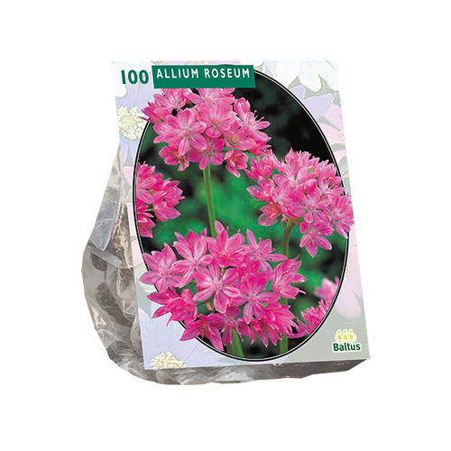 Allium Roseum per 100 - BA300173